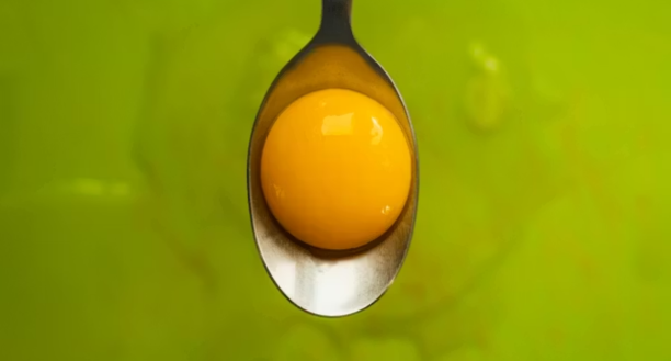 Fresh Pastas (pre-order)