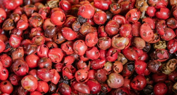 Cured Meats & Charcuterie
